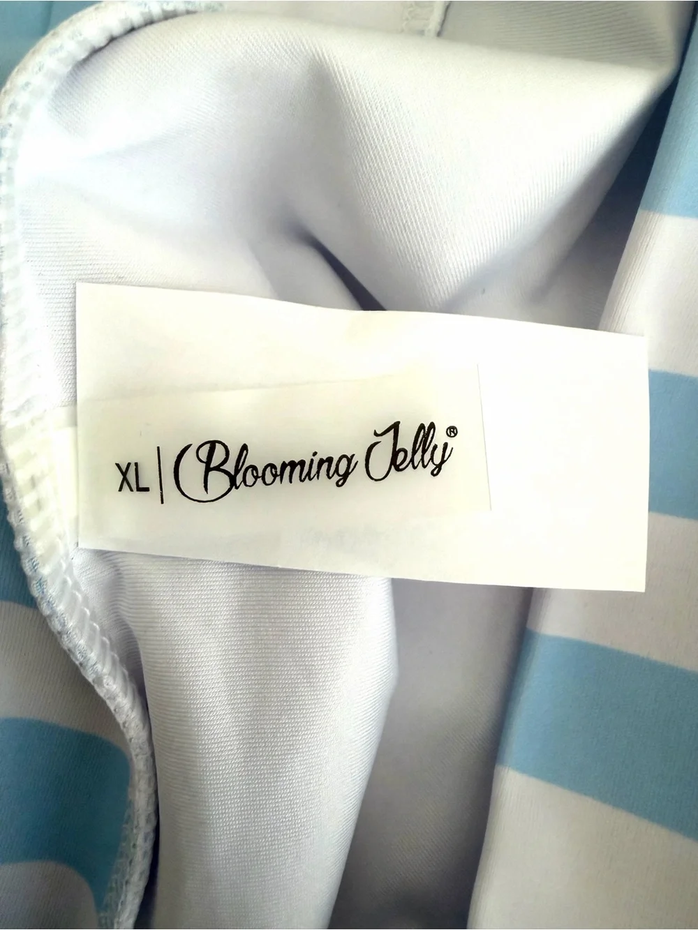NEW Blooming Jelly Blue and White Striped Two-Piece Swimsuit